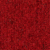 Pugirg Fenice 1209.jpg